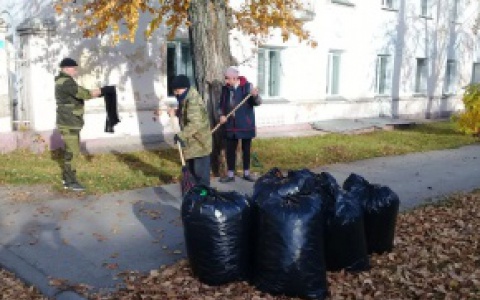 Осенней уборке города посвящается
